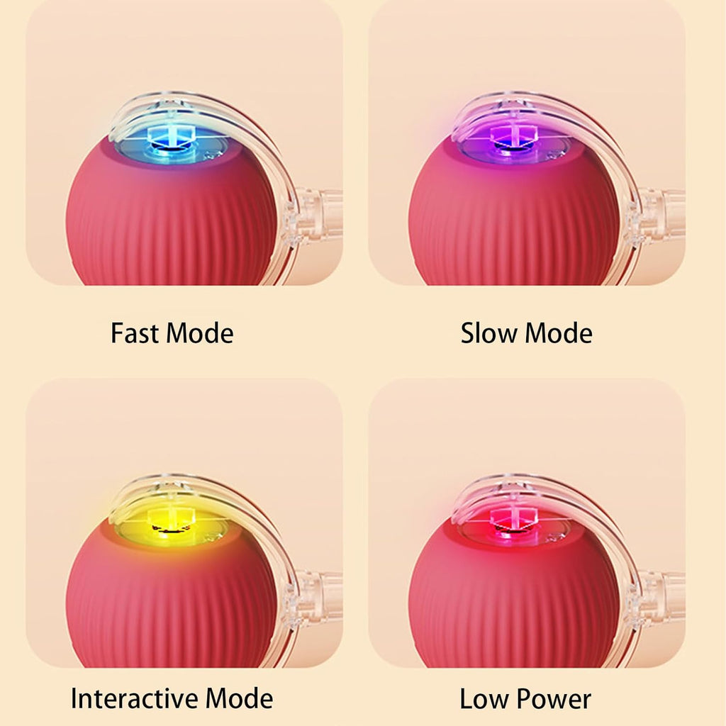 Interactive Automatic Rolling Cat Toy Ball for Indoor Cats