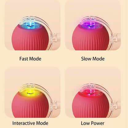 Interactive Automatic Rolling Cat Toy Ball for Indoor Cats